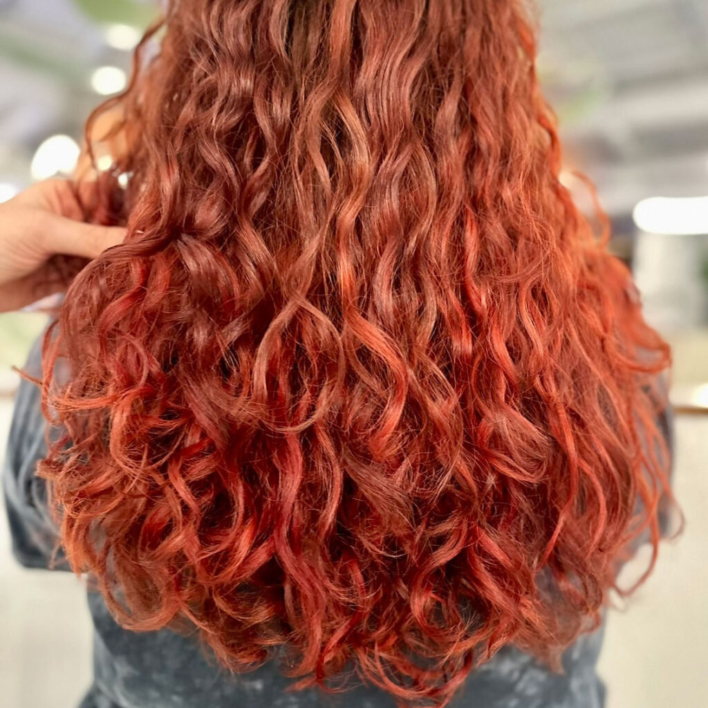 The back of a woman's head showing her defined, red 3b and 3c curly hair.